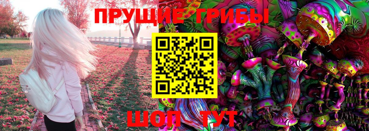 Псилоцибиновые грибы Psilocybe Люберцы